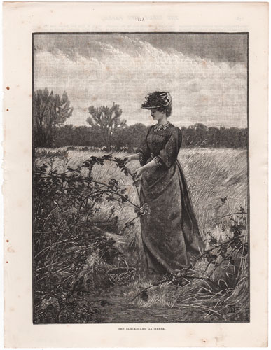 original engravings from The Girl's Own Paper (1888-1890)